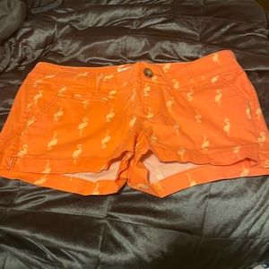 Flamingo shorts